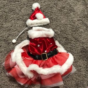 Mrs Claus pet Halloween - Christmas Costume
